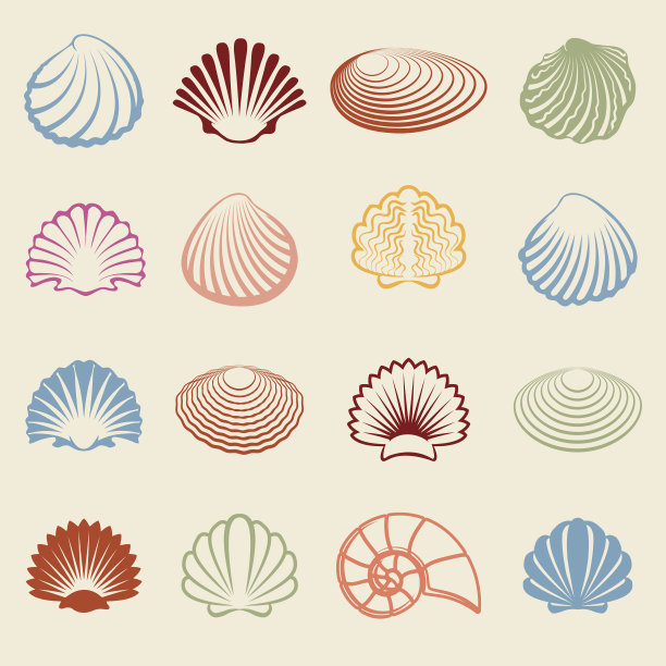 shells