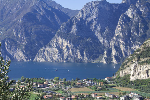 guarda