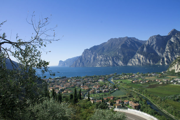 guarda