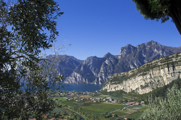 guarda