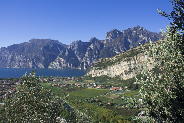 guarda