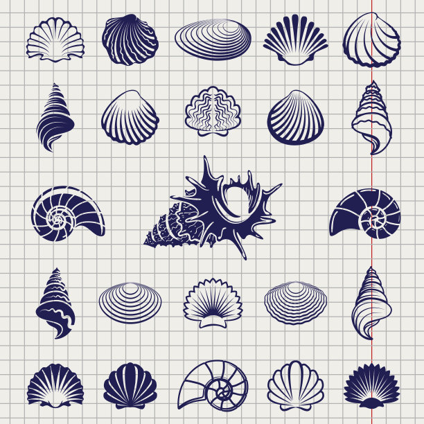shells
