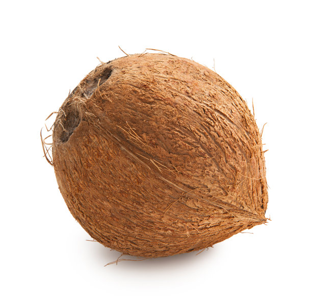椰子树皮