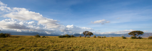 ngorongoro