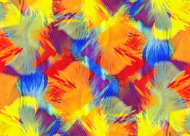 feathers