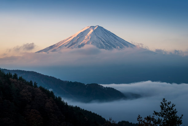 fuji