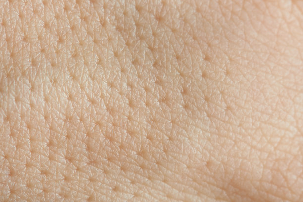 pores
