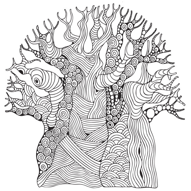 baobab