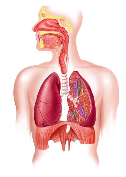 breathing