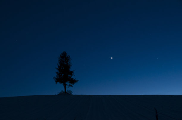 venus