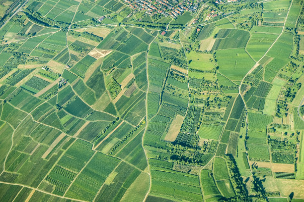 field