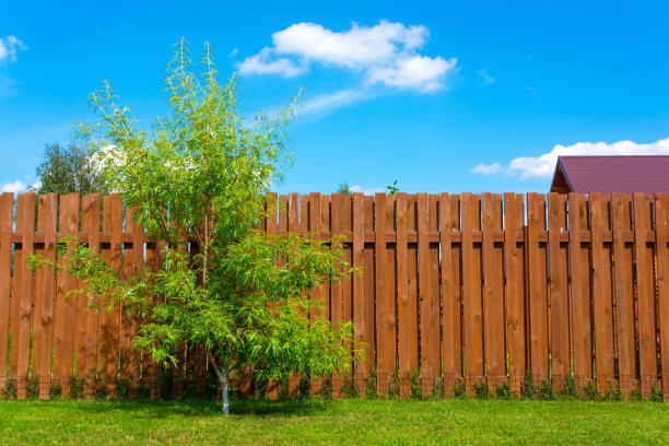 fence
