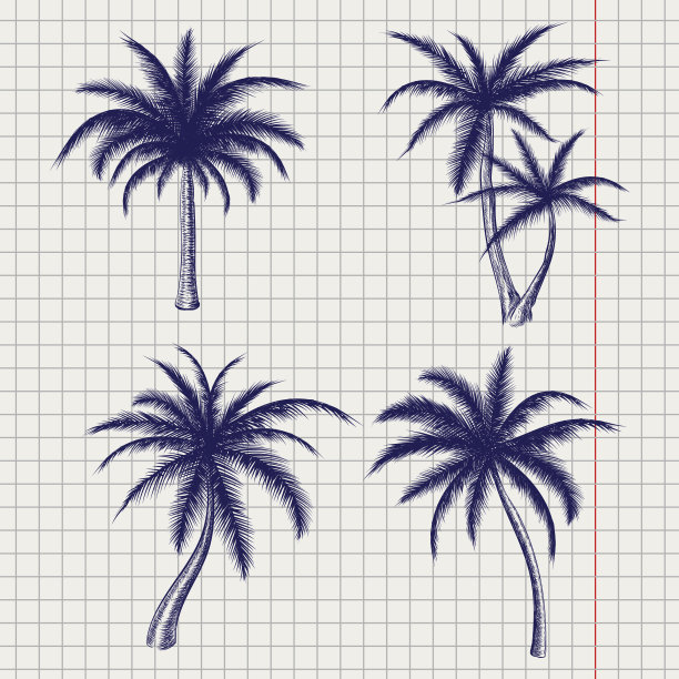 假椰子树