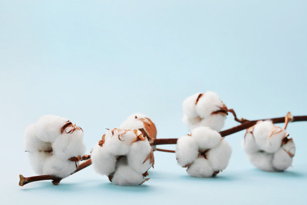 cotton