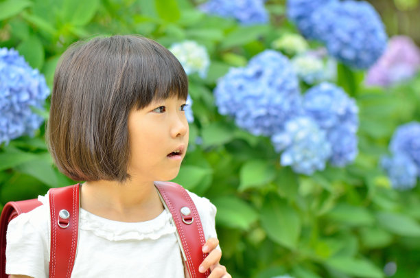 绣球花和女孩