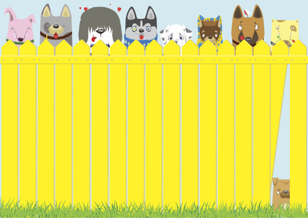 小猫,猫科动物,猫