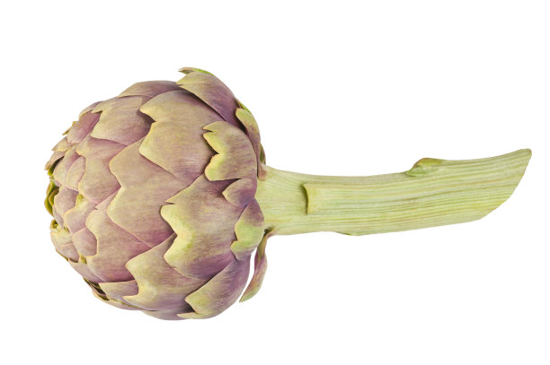 artichoke