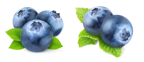 蓝莓2