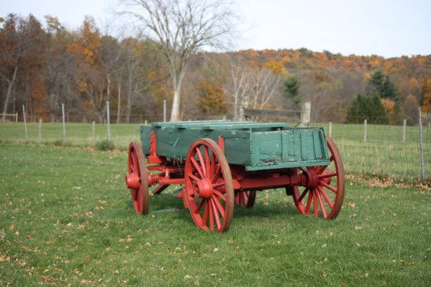 mansfield