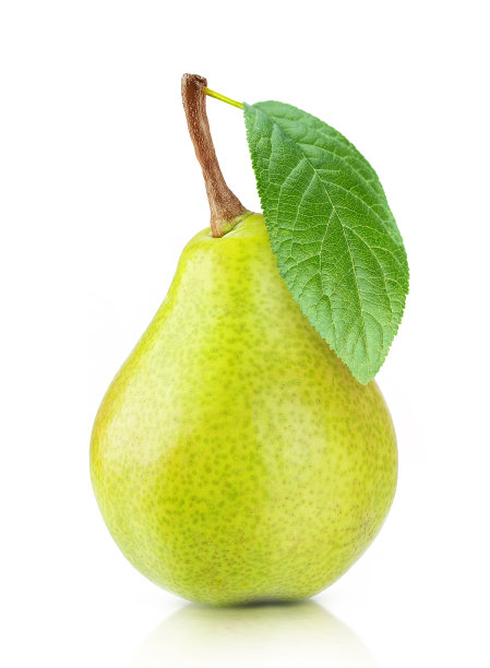 pyrus