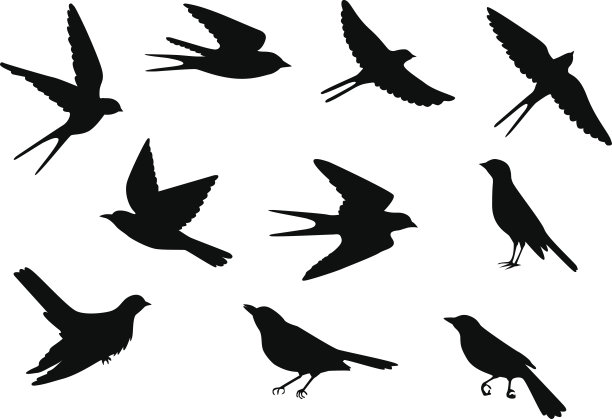 avian