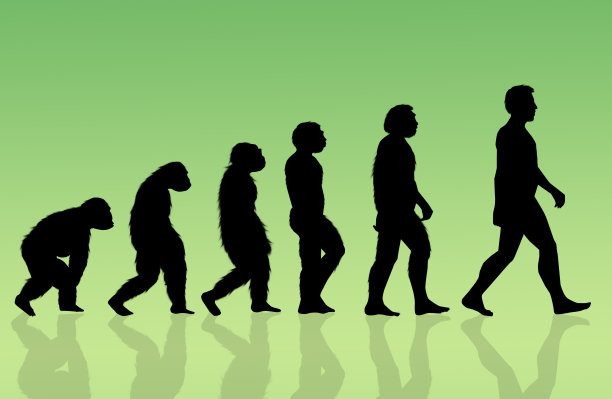 evolution
