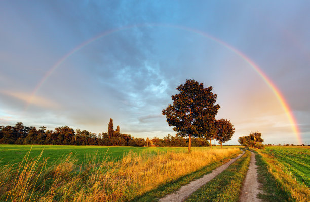 rainbow