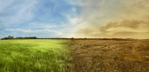 ecology