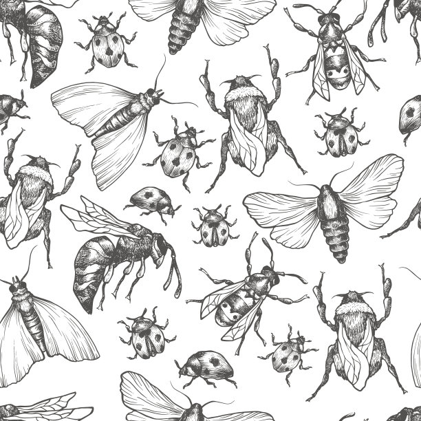 entomology