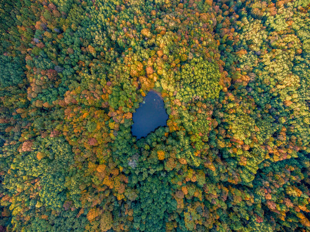 湖边秋色