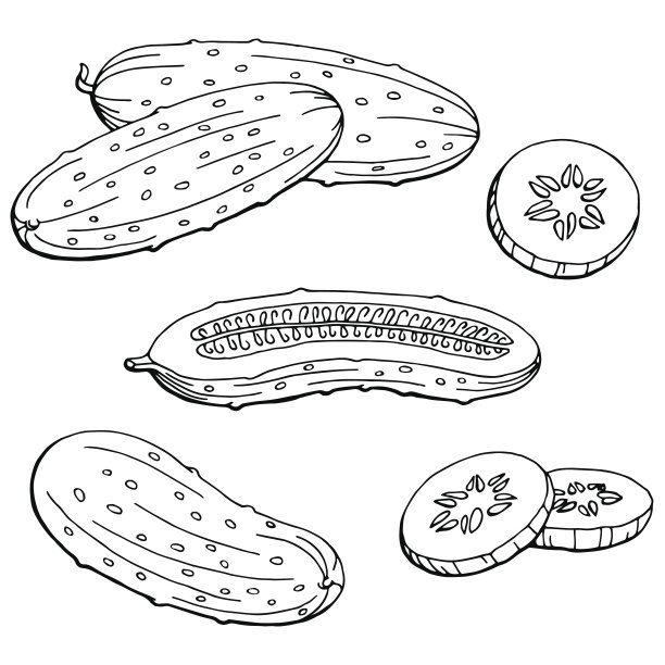 cucumber