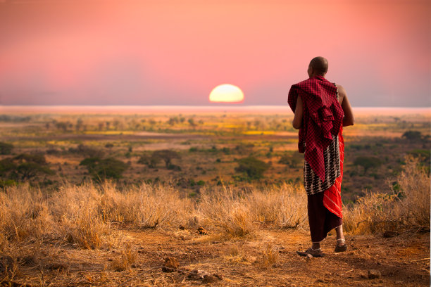 serengeti