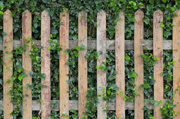 fence