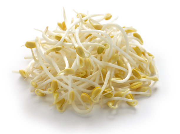 豆芽