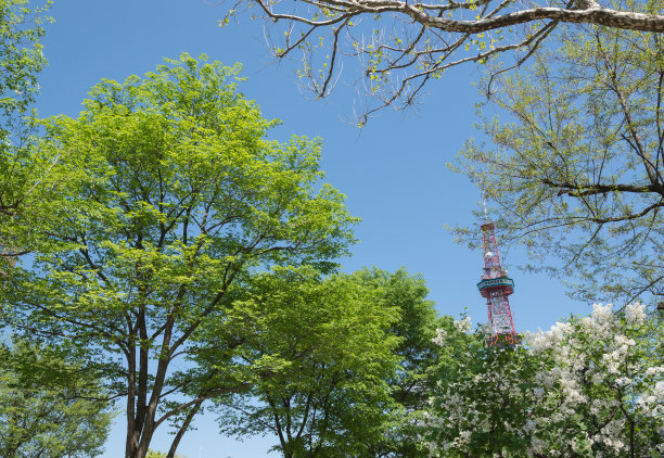 odori