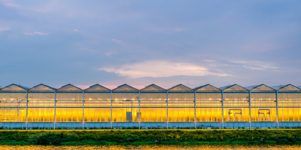 greenhouse