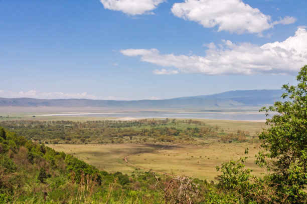 ngorongoro