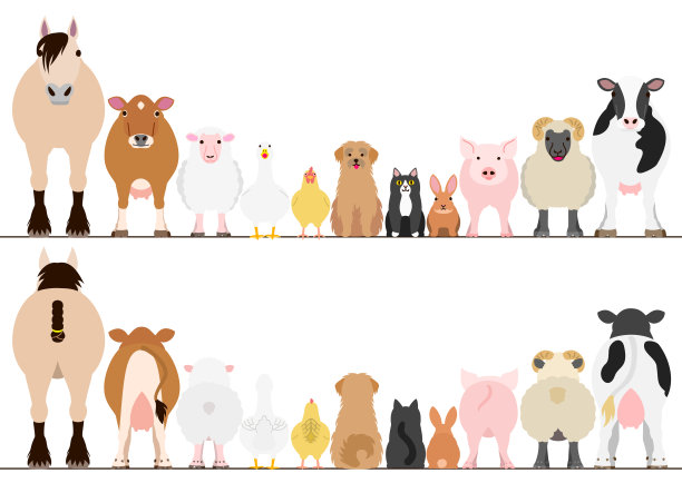 动物卡通图