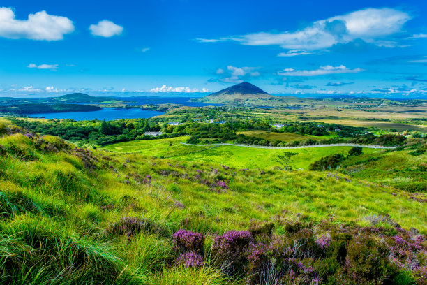irish