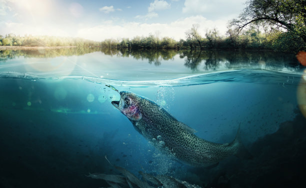 fishing