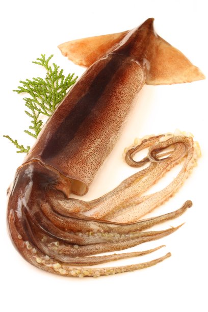 ika