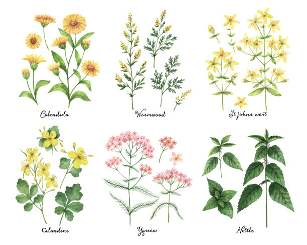 美容化妆品包装插画