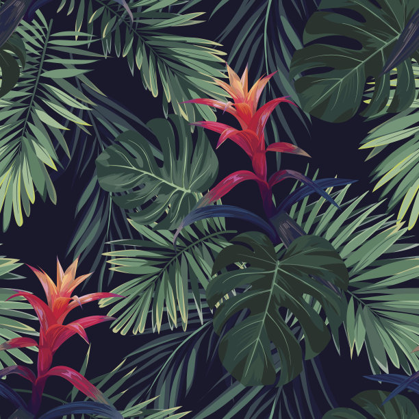 jungle