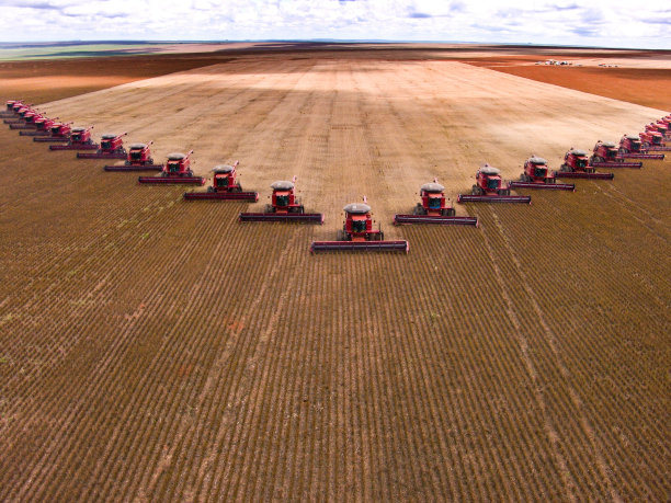 harvest