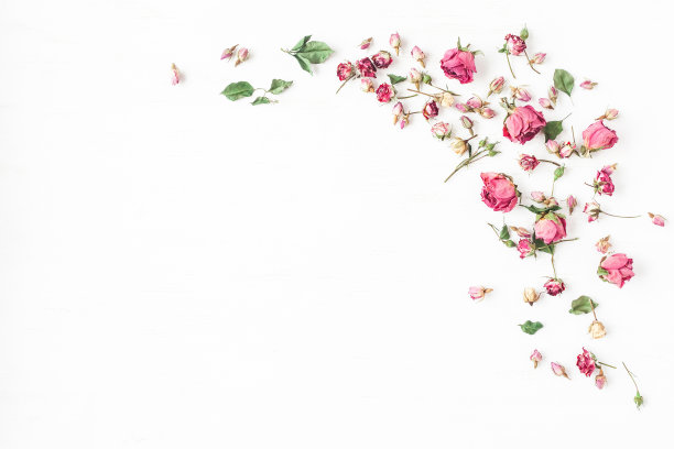 边框花纹花框花纹