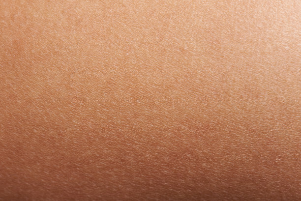 pores