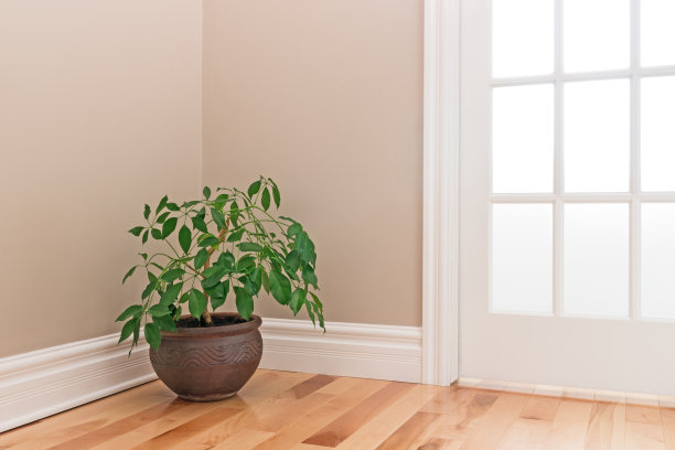 corner