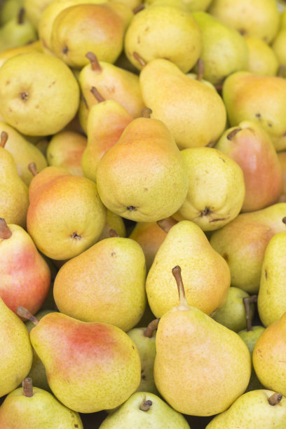 pyrus