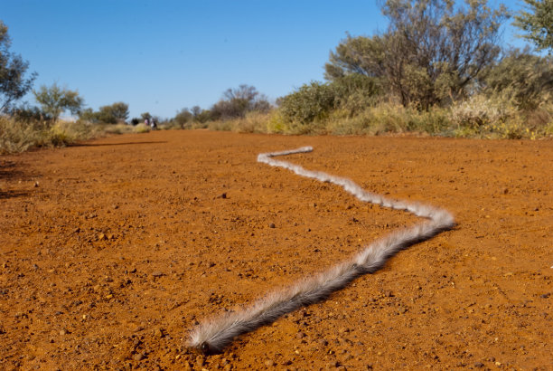 katatjuta