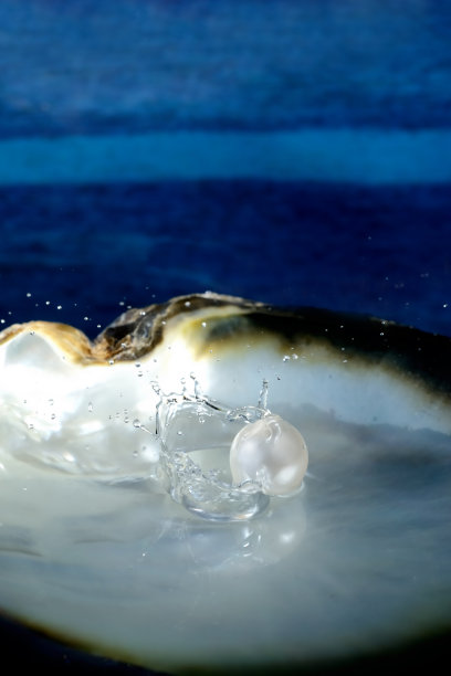 珍珠牡蛎